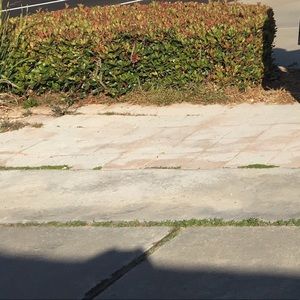 Meet your Posher, Marcus